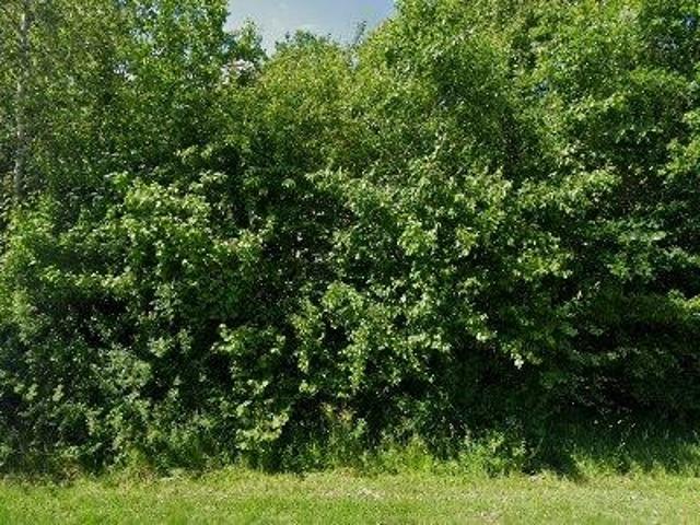 Lejlighed til leje i Strandhuse, Nørre Bjert