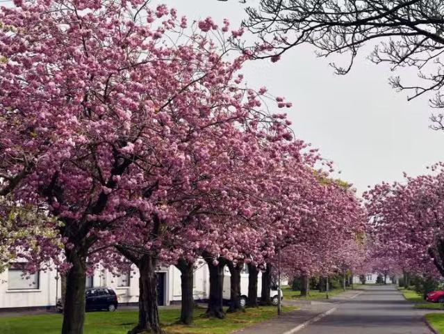 Apartment to rent in Gorteeny, Connacht