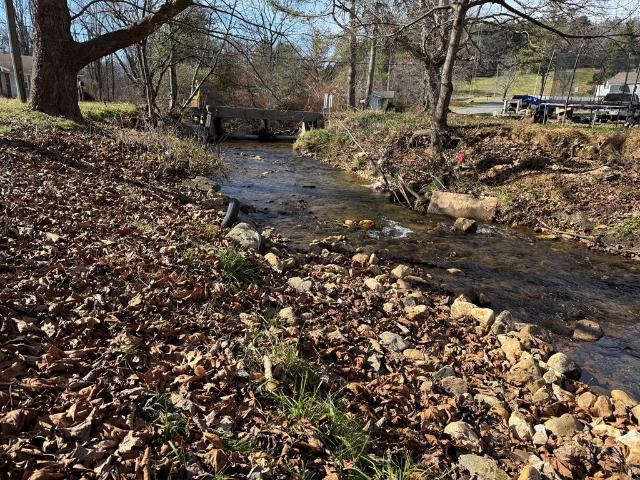 Land for sale in Galax, Carroll County