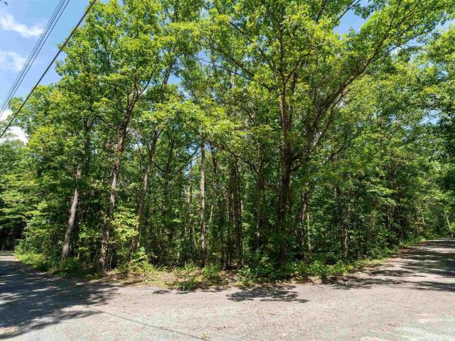 Land for sale in Greenville, Augusta County