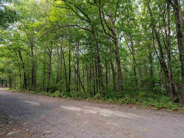 Land for sale in Greenville, Augusta County