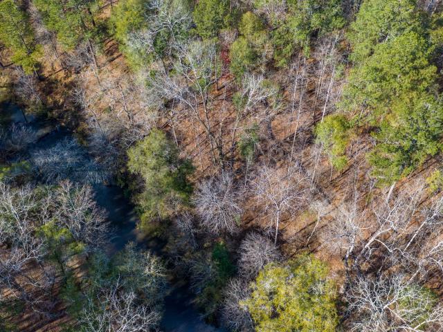 Land for sale in Forsyth, Georgia