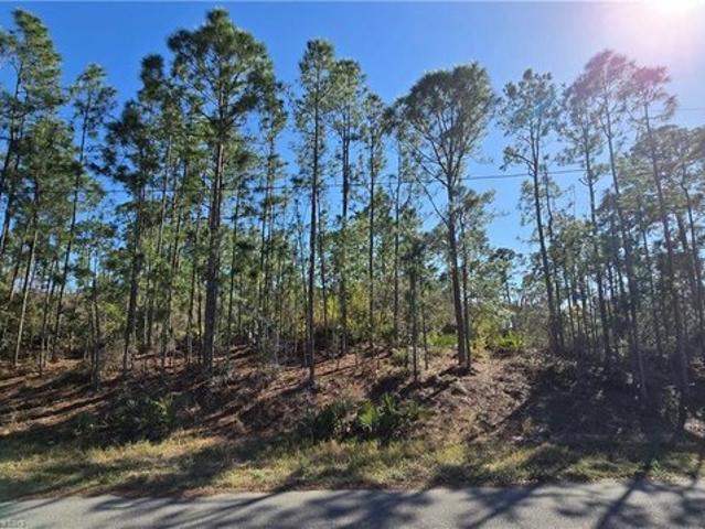 House for rent in Lake Placid, Florida