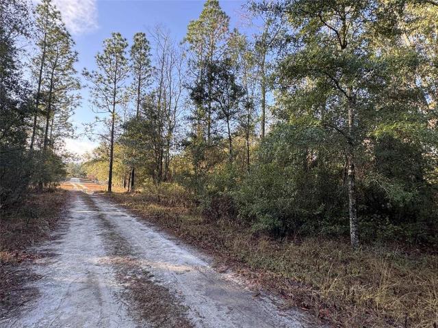 Land for sale in Suwannee, Florida