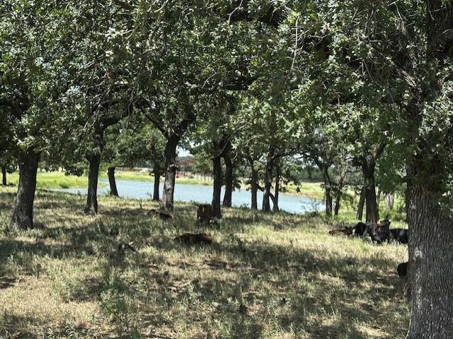 Land for sale in Hood, Texas