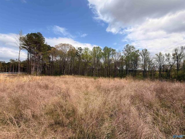 Land for sale in Etowah, Alabama