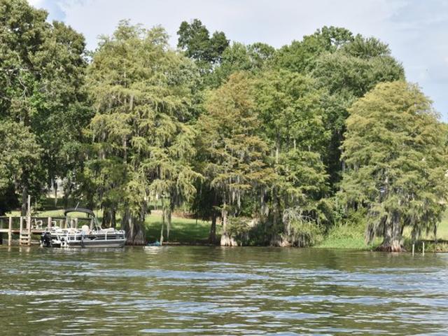 Land for sale in Manning, South Carolina