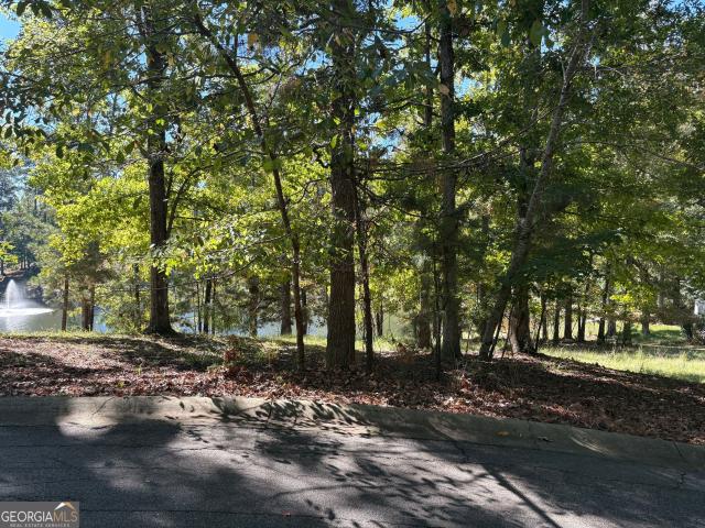 Land for sale in Greensboro, Greene County