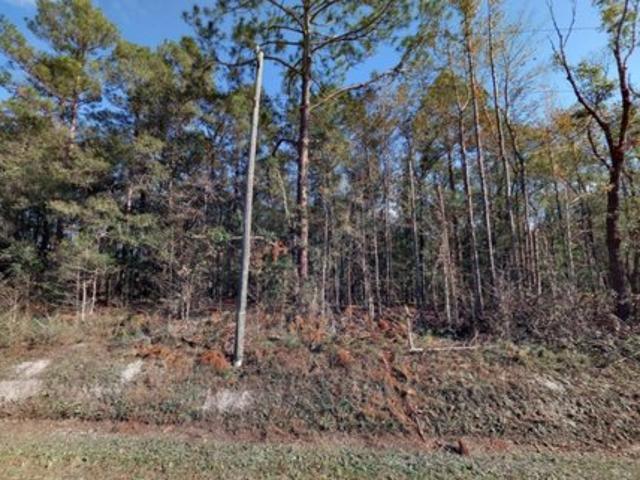 Land for sale in Saint Johns, Florida