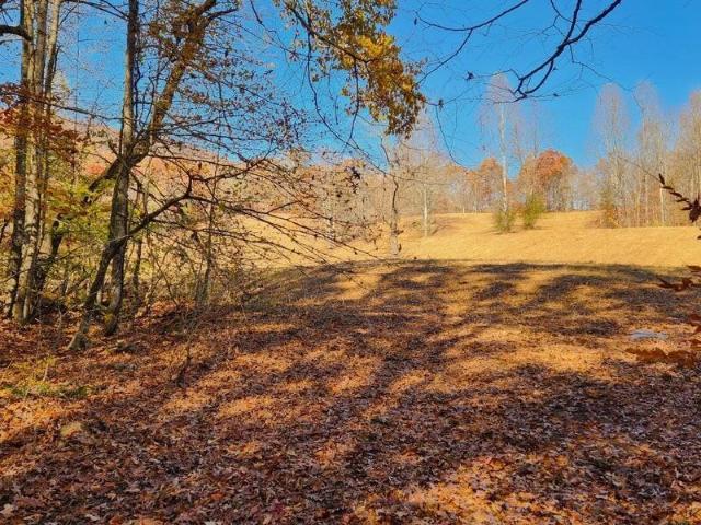 Land for sale in Tennessee