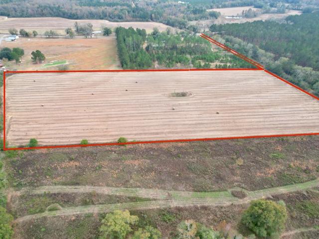 Land for sale in Geneva, Alabama