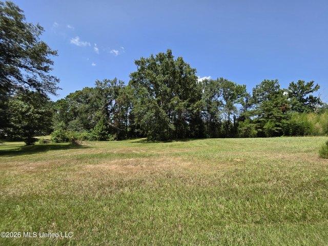 Land for sale in Wesson, Mississippi