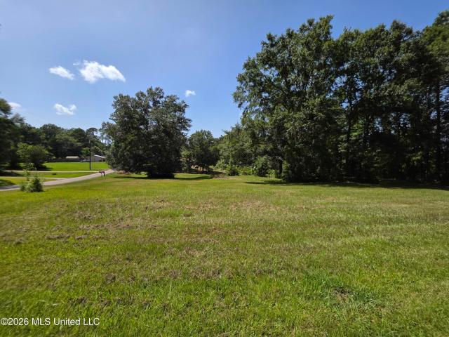 Land for sale in Wesson, Mississippi