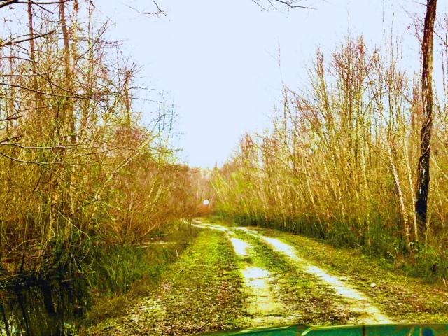 Property for sale in Reevesville, South Carolina