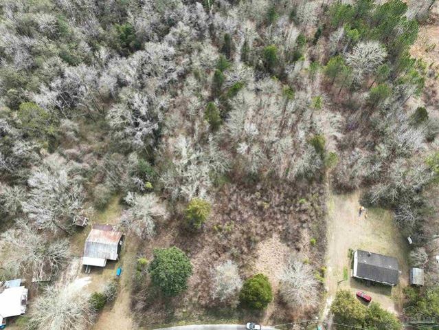 Land for sale in Century, Florida