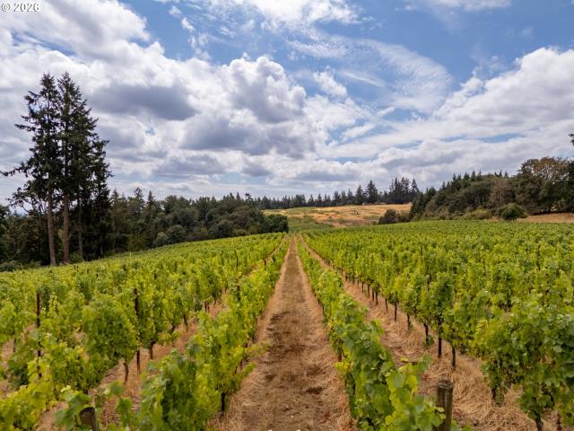 Land for sale in Amity, Yamhill County