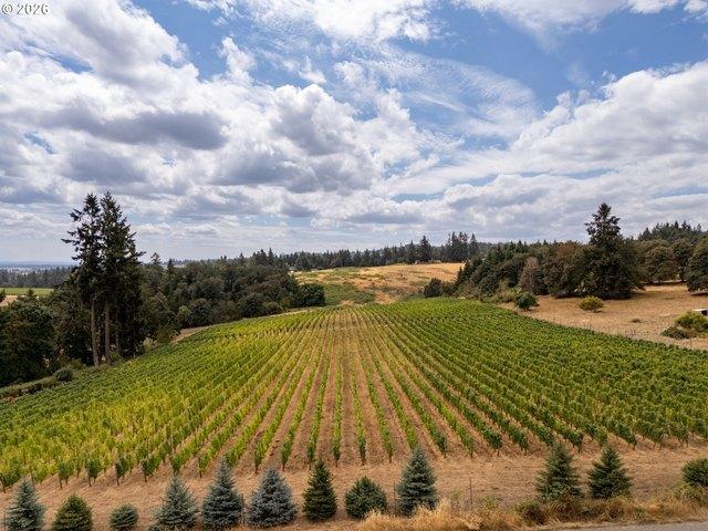 Land for sale in Amity, Yamhill County