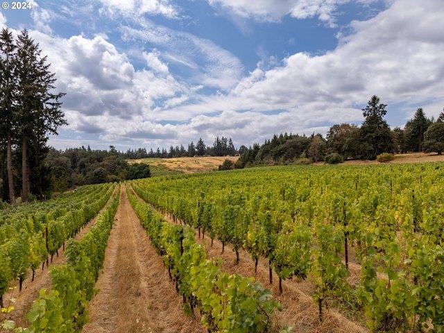 Farm for sale in Oregonia