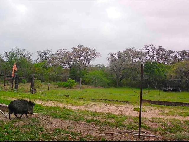Land for sale in Crockett, Texas