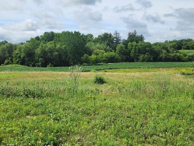Land for sale in Wanamingo, Minnesota