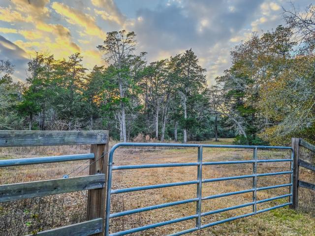 Land for sale in Cat Spring, Texas