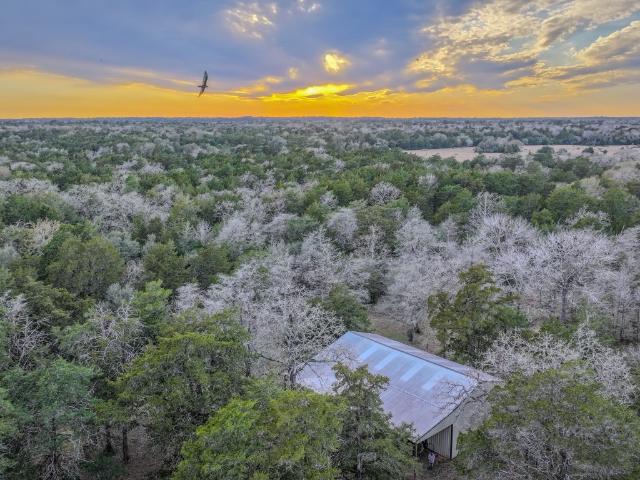 Land for sale in Cat Spring, Texas