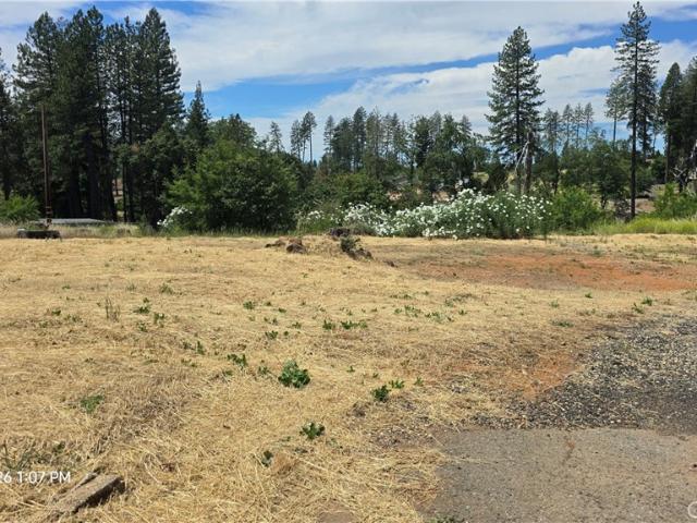 Land for sale in Butte, California