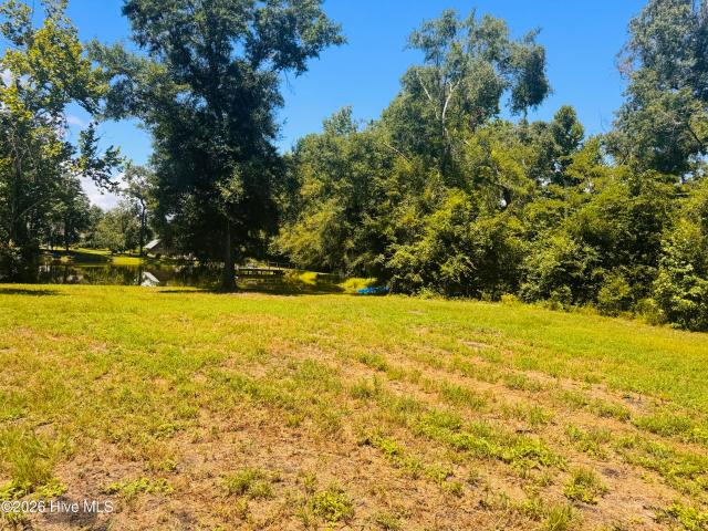 Land for sale in Bartow, Georgia