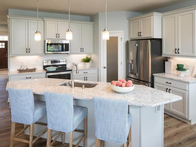 House for sale in Cottage Grove, Minnesota