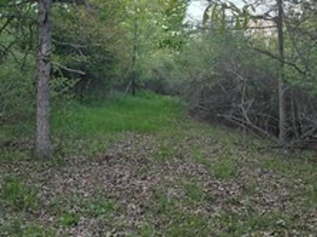 Land for sale in Michigan