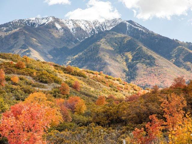Land for sale in Woodland Hills, Utah