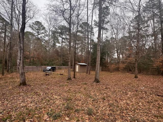 Land for sale in Woodville, Tyler County