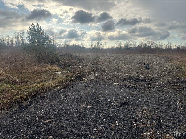 Farm for sale in Clarence, New York