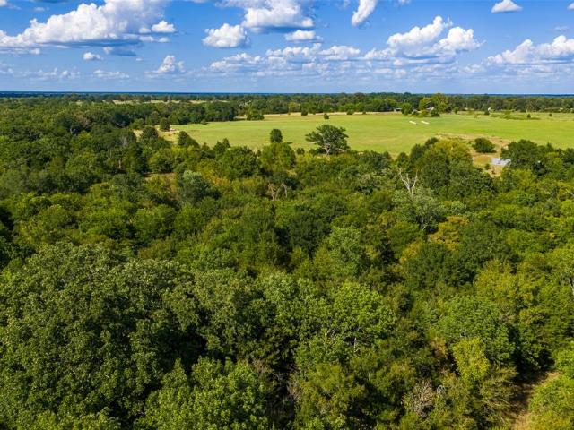 Land for sale in Edgewood, Texas