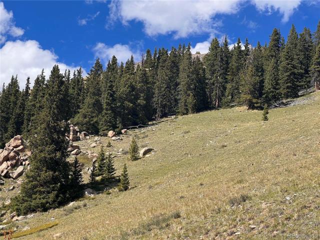 Land for sale in Leadville, Colorado