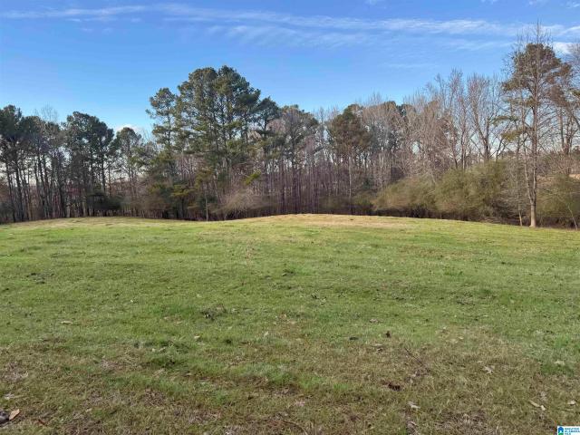 House for sale in Trafford, Alabama