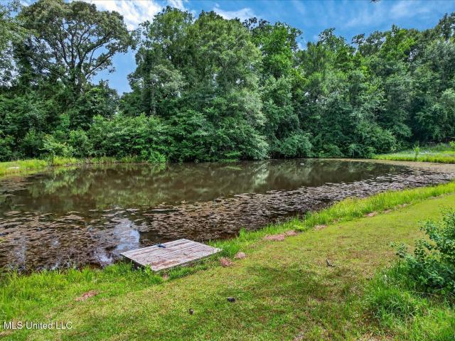 House for sale in Poplarville, Mississippi