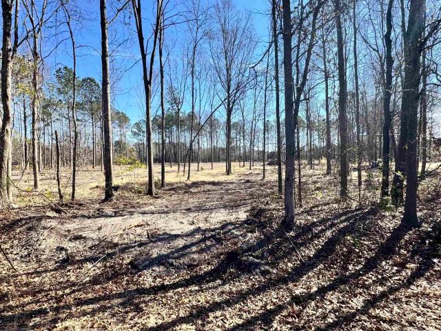 Land for sale in Cassatt, South Carolina