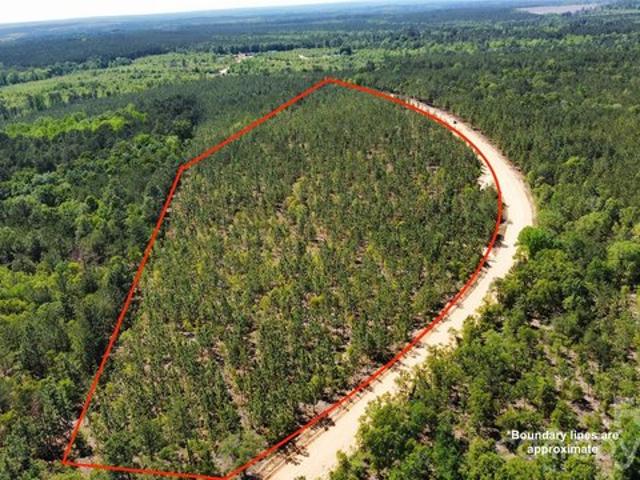 Land for sale in Patrick, South Carolina