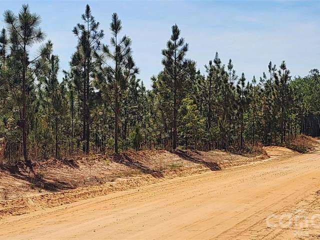 Land for sale in Patrick, South Carolina