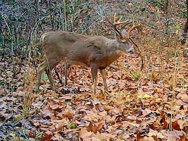 Land for sale in Oak Hill, Ohio
