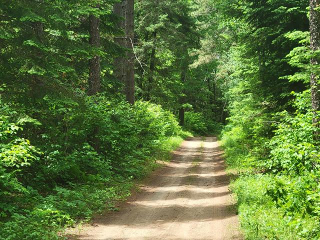 Land for sale in Hubbard, Minnesota