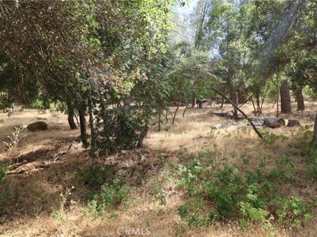 Land for sale in Lake, California