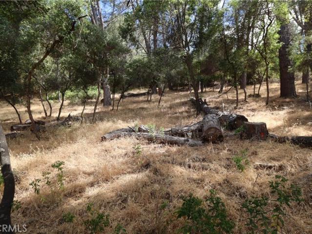 Land for sale in Lake, California