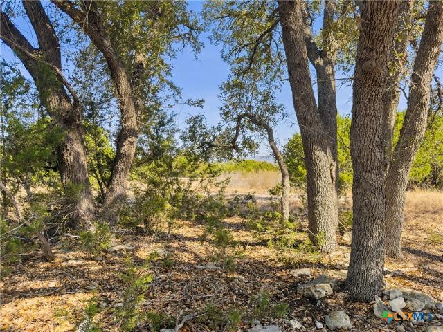 Land for sale in Bandera, Texas
