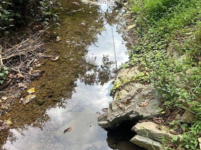 Land for sale in Tennessee