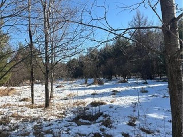 Land for sale in Humbird, Wisconsin