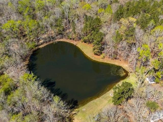 Land for sale in Box Springs, Georgia