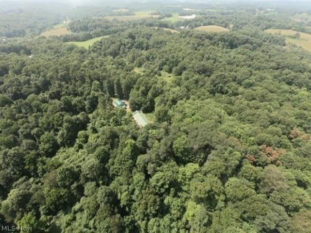 Land for sale in Scio, Ohio