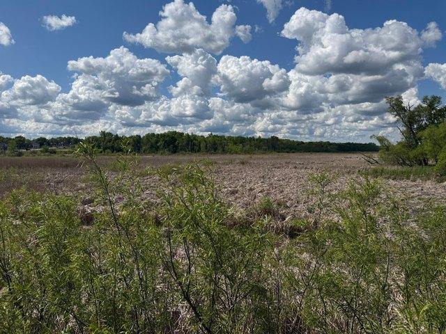 Land for sale in Wright, Minnesota